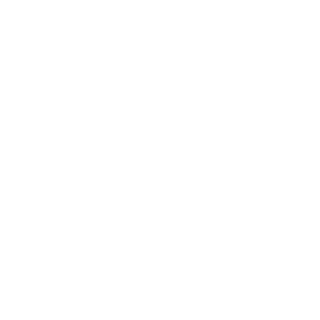 icône téléphone